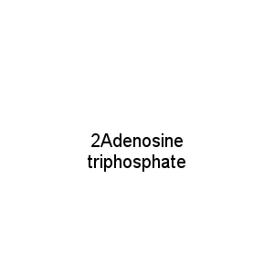 2Adenosine triphosphate